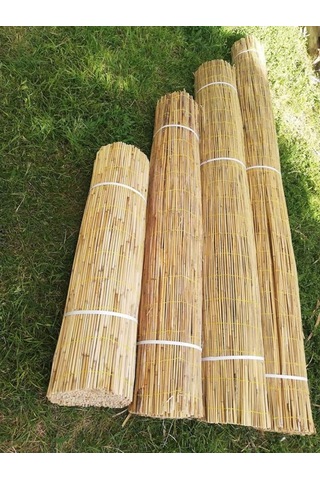 Hasır Çit Kamış Çit 2.5M X 6 M