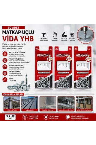 Medalyan Dl-100 Matkap Uçlu Vida 3,9x19 - 30 Adet- 12'li Paket Diğer