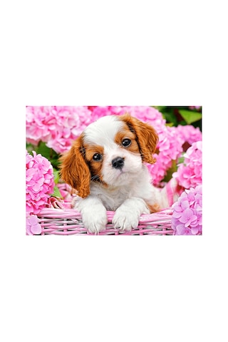 Çiçekler Ve Yavru Köpek Çerçevesiz 40x50 Sayılarla Boyama Hobi Seti