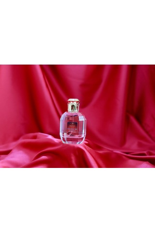 Motee Perfume Veloura 540 Kadın Parfüm EDP 50 ML