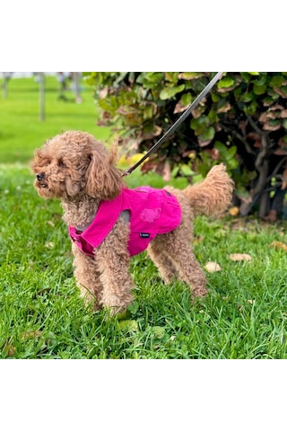 Yeni - Fuşya Renk Kot Köpek Yeleği - Küçük Irklar İçin Şık Ve Rah