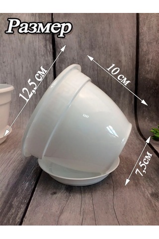 Saburg Çiçek Ve Sukkulent Saksıları, Viola Seti, Tepsili. 295691894