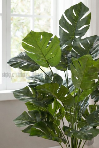 Biçiçek Yapay Monstera Deve Tabanı Yakut Saksıda Bej - Beyaz