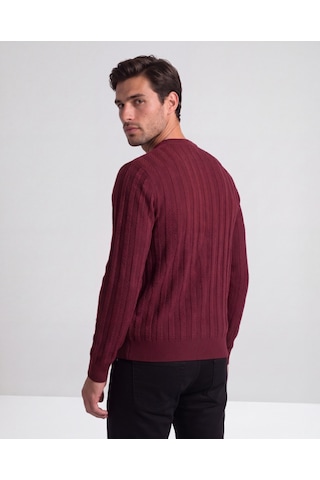 Hazego Erkek Bisiklet Yaka Çizgi Desenli Triko Bordo