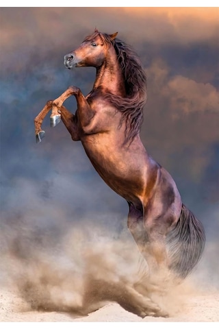Clementoni 35521 Wild Red Stallion 500 Parça Puzzle