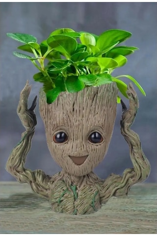 Maks Store Groot Marvel Saksı, Çiçekler İçin Vazo Ve Saksı, Düzenleyici 151379869 Yeşil