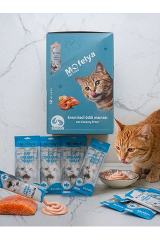 Krem Kedi Ödül Maması Somon Aromalı 12 4'lü Paket Toplam 48 Ad.