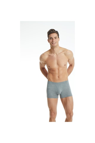 Blackspade Silver Boxer Gri