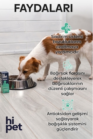 Hipet Sıvı Probiyotik Köpek Probiyotik 50 ML