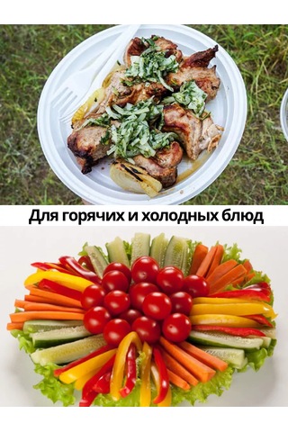 Ooo "kompanıa Servıs-pak" K Kullanımlık Plastik Tabaklar 100 Adet 20,5 Cm 218453484 100 adet