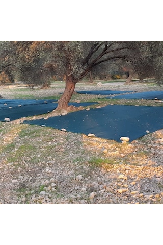 Morilu Zeytin Toplama Filesi Sergenlik Zeytin Yaygısı Yüzde 75'lik Zeytin Filesi Toplama Örtüsü