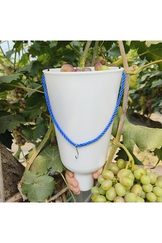 Pazly Yetiştirme Üzüm Suntek S Meyve Kabı Islatma Bakımı Jw