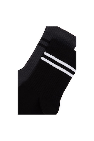 U.s. Polo Assn. Kadın Siyah Çorap 50318014-vr046 Sıyah
