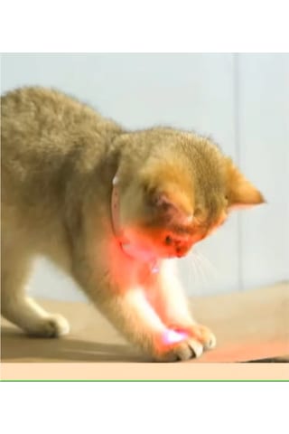 Konyax Otomatik Lazer Oyun Tasması