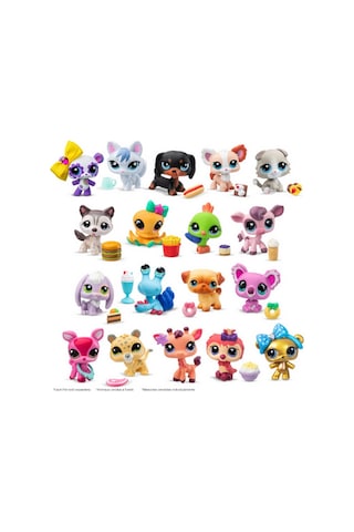 Littlest Pet Shop Tekli Paket S4 - 1 Adet Stokta Olan Model Gönderilir