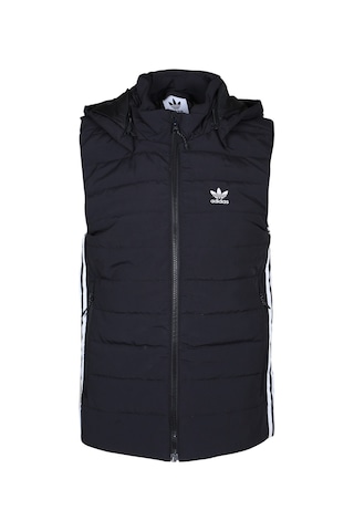 Adidas Adıdas Erkek Yelek Hg5694