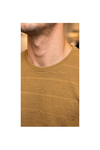 Regata Çizgi Desenli Bisiklet Yaka Regular Fit Örme İnce Triko Erkek T-shirt Camel