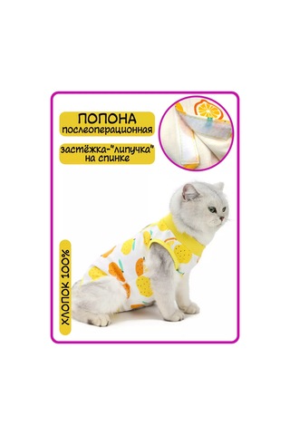 Best Golden Monkey Kediler İçin Ameliyat Sonrası Örtü 95680511