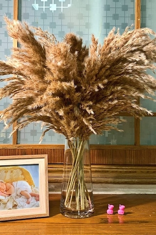 Alyones 10 Adet Kabarık Pampas Otu 100cm Doğal Kuru Pampas Dekor Boho Oda Çiçekleri Dekorasyonu
