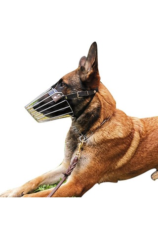 Homyl Köpekler Namlu Pet Malzemeleri Tel Sepet Alabilir