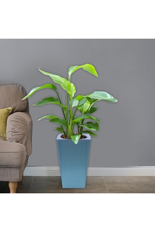 Suntek Magideal Bitki Saksısı Kendiliğinden Sulanan Antik Gümüş