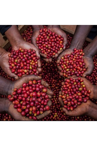 Mineiro Coffee Etiyopya Sidamo Öğütülmüş Filtre Kahve 250 G