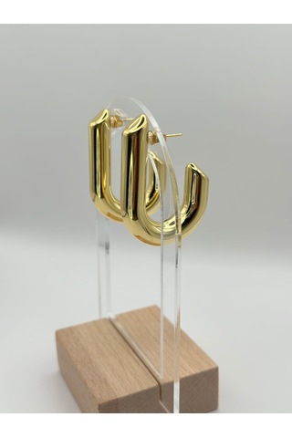 Arnes Jewelry Çelik Gold Küpe Ar337nes Gold