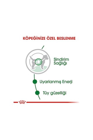Royal Canin Mini Adult Soslu Konserve Küçük Irk Yetişkin Köpek Maması 6 x 85 G