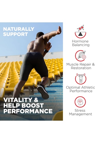 Nutrivein Premium Fadogia Agrestis And Tongkat Ali With Turkesterone - 1100 Mg - 120 Caps Strength, & Recovery For Men & Women Aromasız