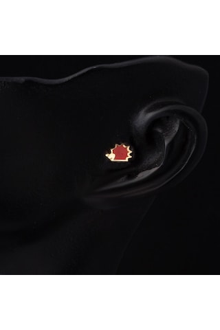 Bilezikci  14 Ayar Altın Kırmızı Tragus Küpe Kphsy14k22489 Sarı