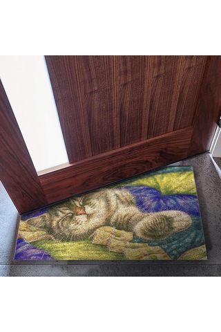 Tasarımlı Dekoratif Kapı Önü Paspas, Dış Mekan/ev İçi/banyo/mutfak/yatak Odası/giriş Paspasları Pastel Boya Çok Renkli