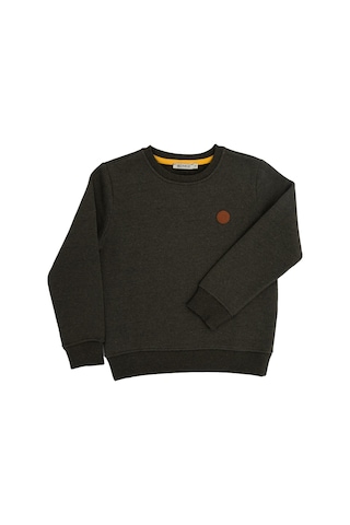 Erkek Çocuk Recycle Moldgreen Sweatshirt - Reborn Yeşil