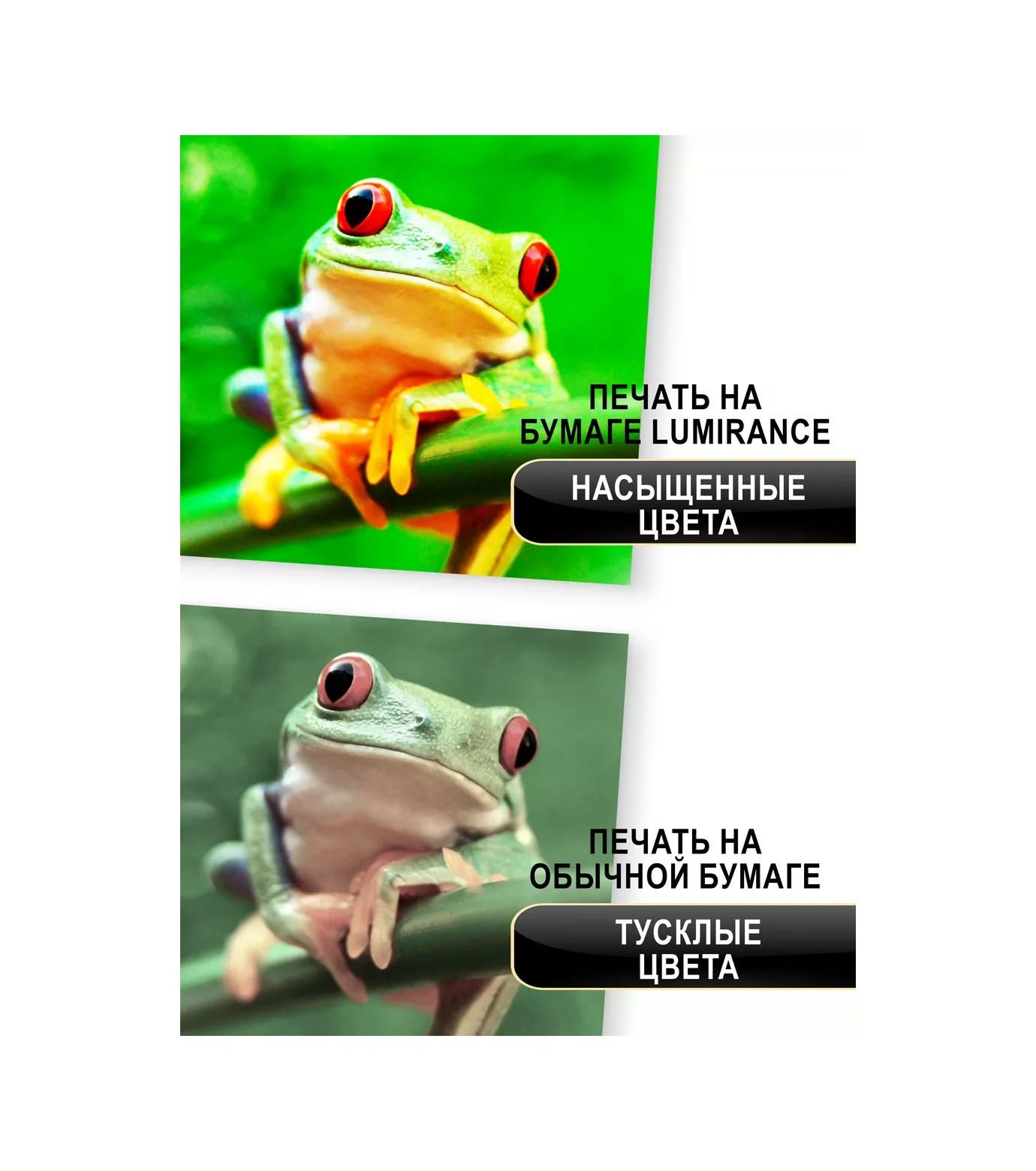 Lumirance Çift Taraflı Mat Fotoğraf Kağıdı A4, 120 Gr/m2, 100 Yaprak. 229467226