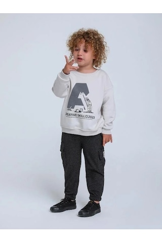 Jack Lions Erkek Bebek İnce Şardonlu Creative Yazılı Sweatshirt-14249 Gri