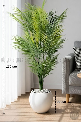 Biçiçek Areka Ağaci 24 Yapraklı 130 Cm Beyaz Küre Saksıda