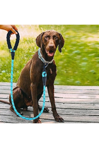 Buffer Reflektörlü Fosforlu Köpek Gezdirme Halatı Tasma Kayışı Metal Kancalı 130 CM Mavi
