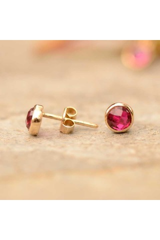 14k Altın Renkli Taşlı Küpe