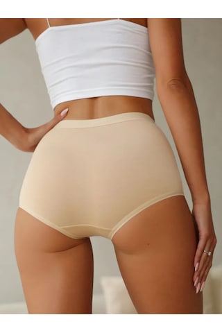 Berrak 3 Lü Paket Yüksek Bel Toparlayıcı Külot 11656 Ten