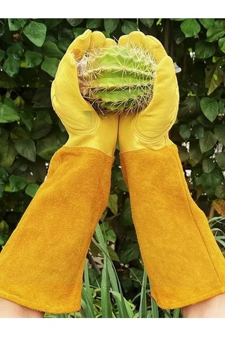 Teltree Uzun Kollu Deri Bahçe Eldiveni, Dikenli Bitkiler İçin Kesme Ve Çizik Korumalı, M Bedeni, Kahverengi-sarı