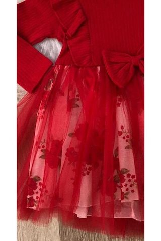 Kız Çocuk Çiçekli Toz Pembe -kırmızı Tütü Doğum Günü Abiye Prenses Şık Elbise Kırmızı