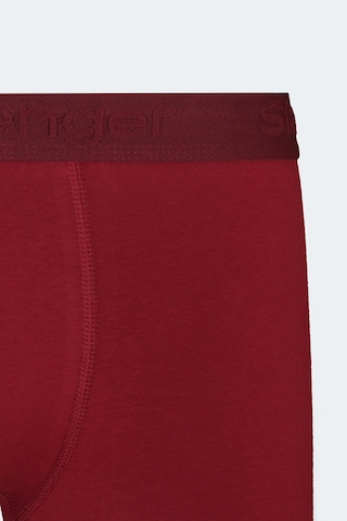 Slazenger Jama 3 Lü Set Erkek Bordo Boxer Bordo