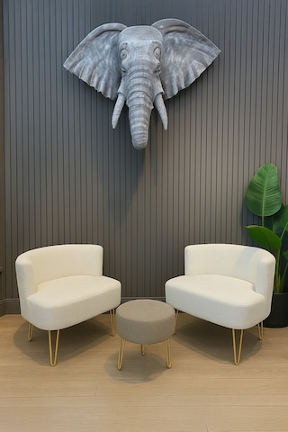 Elegance 2'li Çay Seti Berjer Ve Puf Takımı Beyaz