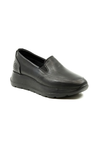 Dexter Tp2380-61 Çok Renkli