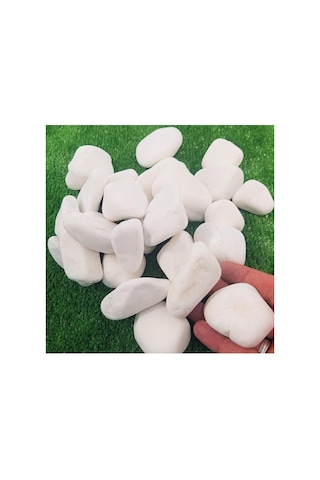 Asenya Dolomit Taş 50 Kg 2-4 Cm Beyaz Dolomit Taş Saksı Dibi Dekoratif Taş Bahçe Süsleme Taşı Peyzaj Taşı