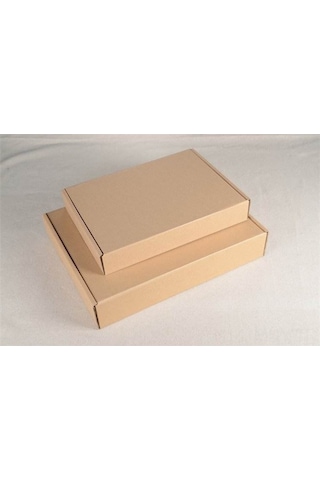 Monyee Beyaz Arı Kovanı Böcek Tutucu - Etkili Kova Böceği Kontrol Aleti, Ev Ve Arı Çiftlikleri İçin Dayanıklı Tasarım Tek Kutusu