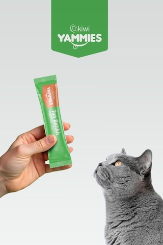Kiwi Pets Sıvı Kedi Ödül Maması 15 Gr 60 Adet