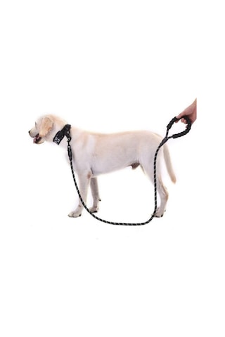 Thentech Kolay Kullanım Büyük Köpekler İçin Uygundur Köpek Tasması Reflektör Gece
