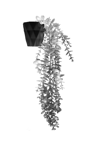 Gümüş Okaliptus 45 Cm New Collection Siyah Elmas Saksıda Yapay Sarkan Bitki Gri