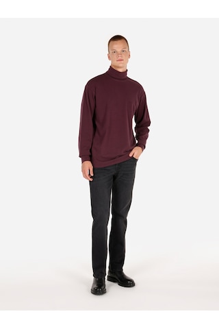 Colin's Colins Normal Kesim Balıkçı Yaka Mor Erkek Uzun Kol Tişört Cl1066054 Mor