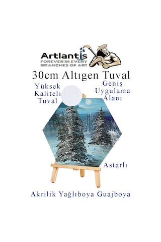 Altıgen Tuval 30 Cm 1 Adet Arkadan Zımbalı Astarlı Resim Tuvali Akrilik Boya Yağlı Boya Altıgen Şekil Tuval Ressam Sanat
